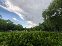 -莲池书院博物馆