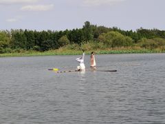 -溱湖国家湿地公园