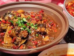 甲鱼-辣小鲜·南昌大排档(船山路店)