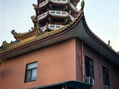 -仙岳公园