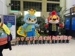 -德宏芒市国际机场