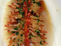 -沪碟·精菜坊(闵行店)
