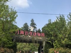 -栾川竹海野生动物园