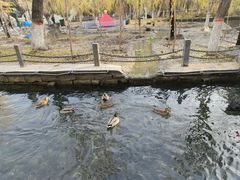 -水磨沟公园