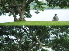 -白鹭洲公园