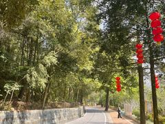 -广州市石门国家森林公园