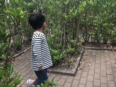 -新江湾城公园