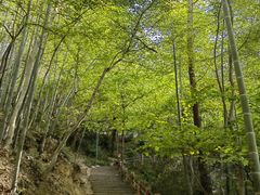 -敬亭山风景名胜区