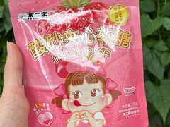 -赵一鸣零食(冠军城店)