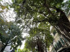 -圣约瑟夫大教堂