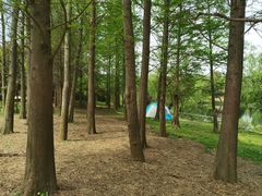 -贵阳市花溪国家城市湿地公园