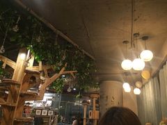 大堂-共舞时光猫咖·狗咖(新街口店)