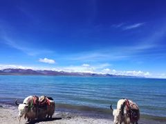 -青海湖仙女湾景区