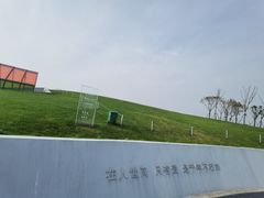 -荷兰花海