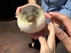 -肆月河豚·淮扬菜·湘菜(华天店)