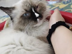 -平行世界·猫咖(首经贸店)