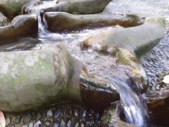-成都市活水公园