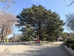 -青岛德国总督楼旧址博物馆