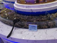 -澜悦港海鲜体验主题餐厅
