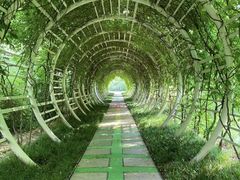 -郑州植物园