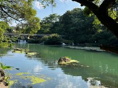 -花溪公园