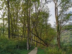 -九曲溪竹筏码头