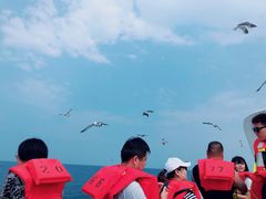 -海驴岛(荣成市)