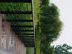 -郑东新区龙湖公共艺术中心