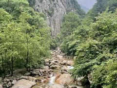 -青峰峡国家森林公园