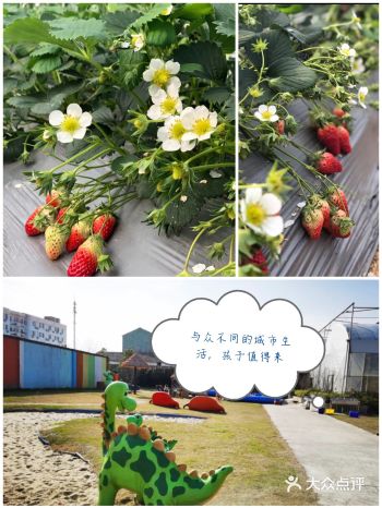 带个孩子一场不一样的城市里体验乡村