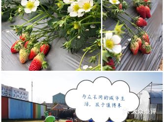 带个孩子一场不一样的城市里体验乡村