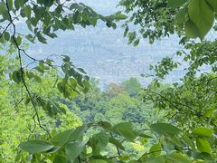 -灵隐飞来峰景区