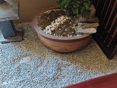 -千代武日本料理(爱建店)