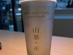 -雾与山茶(大禹城店)