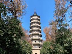 -灵谷景区