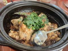 -正宗高流河饭店原创风姜鸡