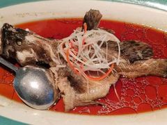 -鸽子侯·家宴·平价海鲜(市图书馆店)