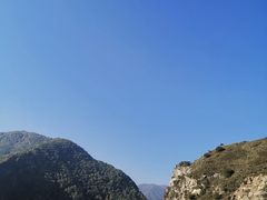 -德禄酸奶(莫家街店)