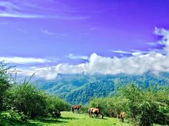 -硗碛藏寨·神木垒景区