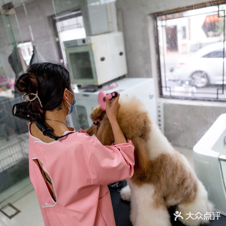 苏州探店｜24H 宠物医院🏥