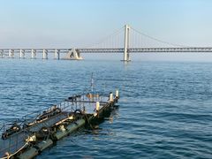 -星海湾跨海大桥