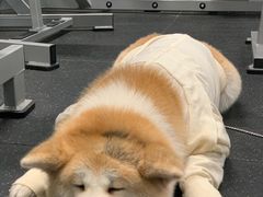 -YCHL Studios健身工作室(市二宫店)