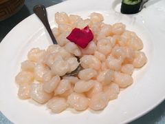 -天福苑(崇宁路店)