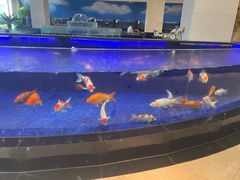-鹏天阁酒楼·海鲜(红旗店)