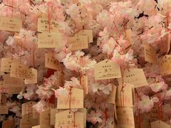 樱花季-四海一家自助餐(益田假日广场店)