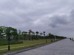 -芒洲湿地公园