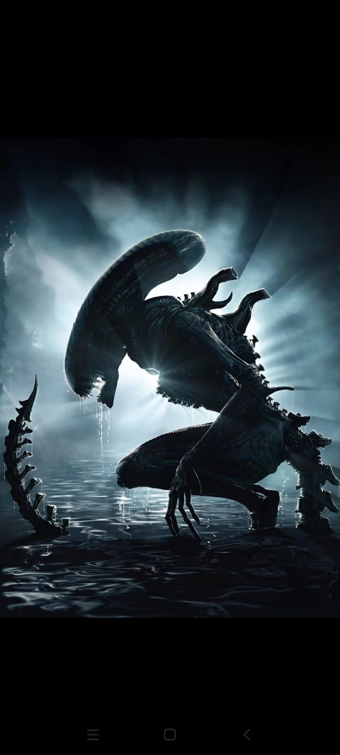 这个好看吗,不敢看啊