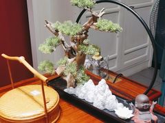 -金狮麟·新豫菜(金码大厦店)