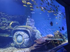 -海合安武汉极地海洋公园