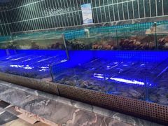 -海韵之星邮轮水会(明发商业广场店)
